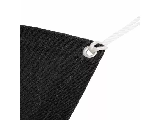 Tapis de tente 200x300 cm Noir