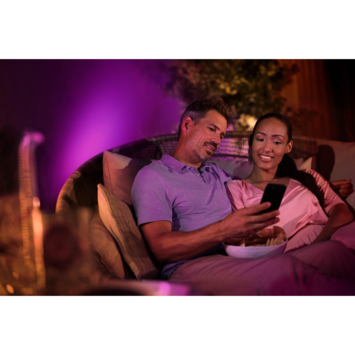 Philips Hue XL-tuinspot Lily zwart - wit en gekleurd licht 15W - LowVolt