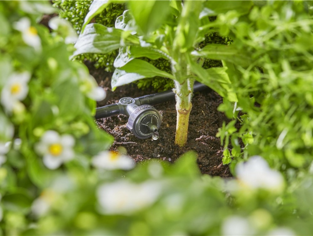 Kit d'initiation goutte-à-goutte pour rangées de plantes jusqu'à 35 plantes