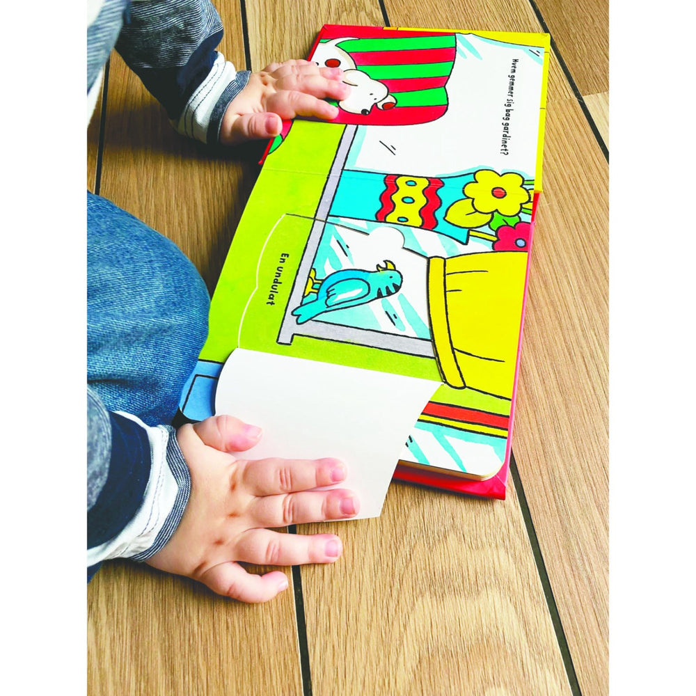 Køb Forlaget Bolden Hvem Gemmer Sig Derhjemme? | Luksusbaby