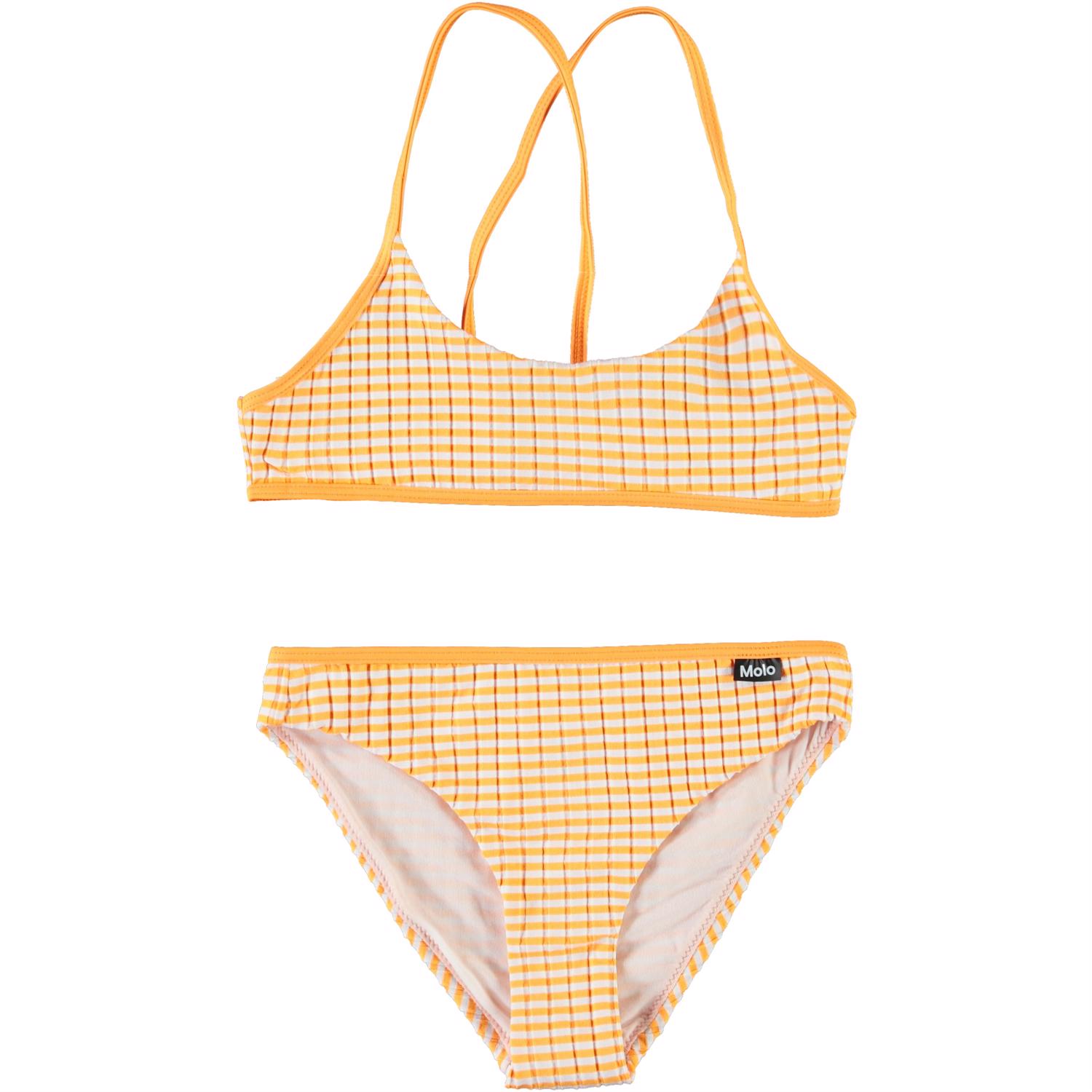 Neddy - Orange Stripe