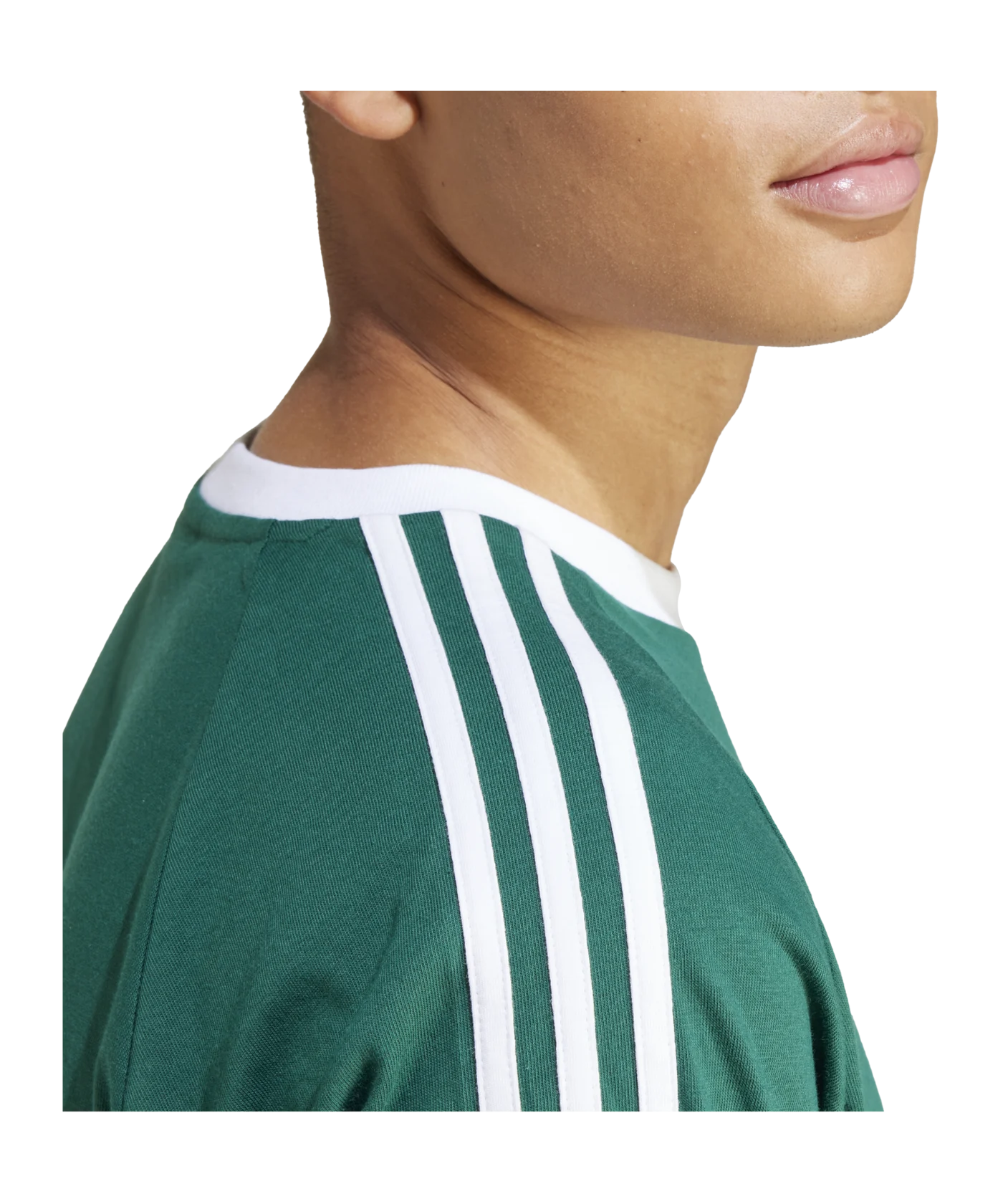 adidas Originals Adicolor 3-Stripes T-Shirt Grün