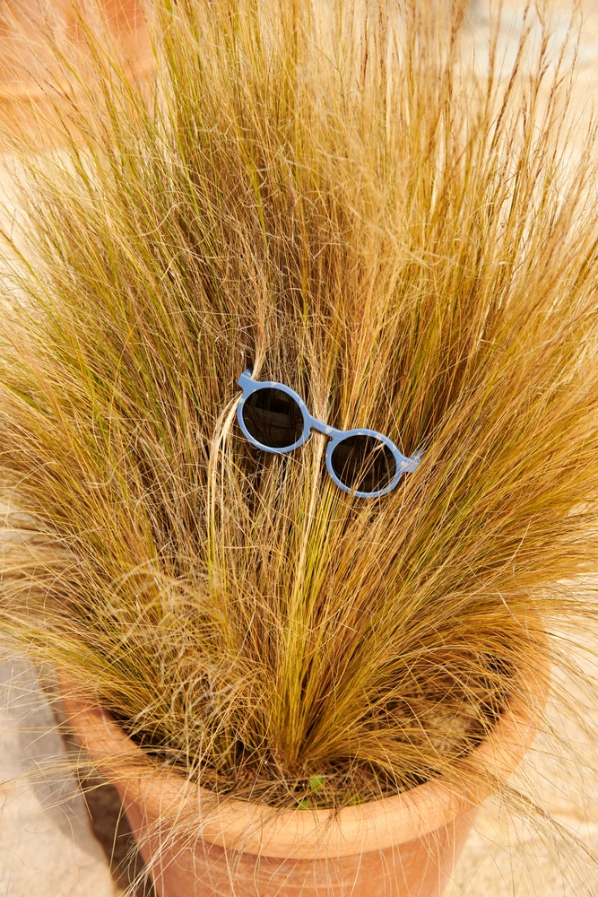 Sonnenbrille DARLA - PALMS