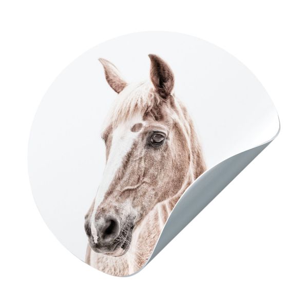 Groovy Magnets Paard Magneetsticker – Ø60 cm