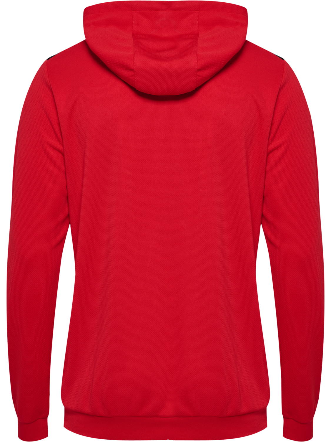 hmlAUTHENTIC PL HOODIE