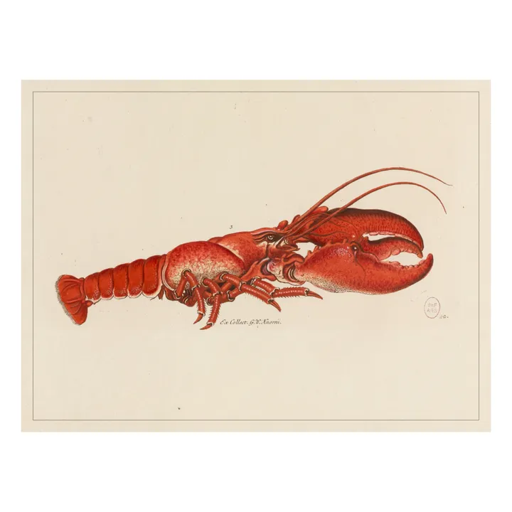 Les Jolies Planches Planche Homard | Orange