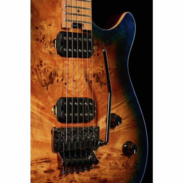 EvH Wolfgang WG Standard Xotic