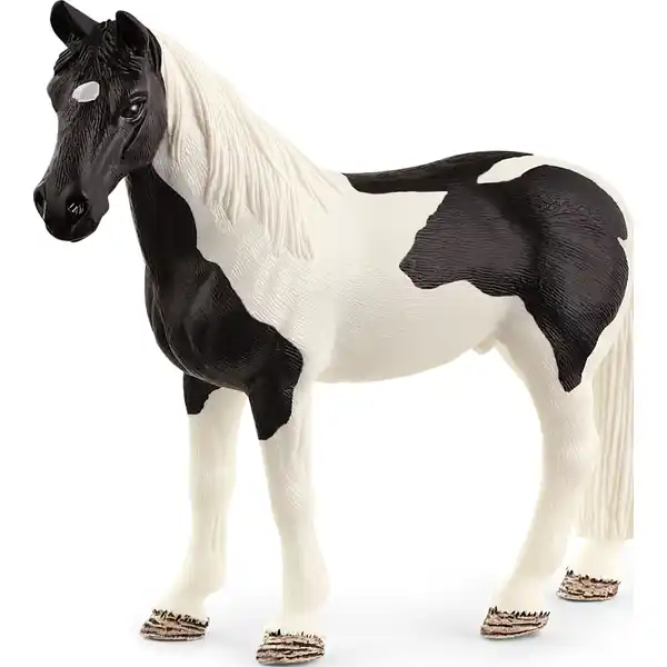 72151 Tennessee Walker Wallach