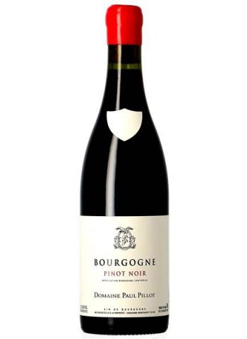 Bourgogne Pinot Noir - Paul Pillot