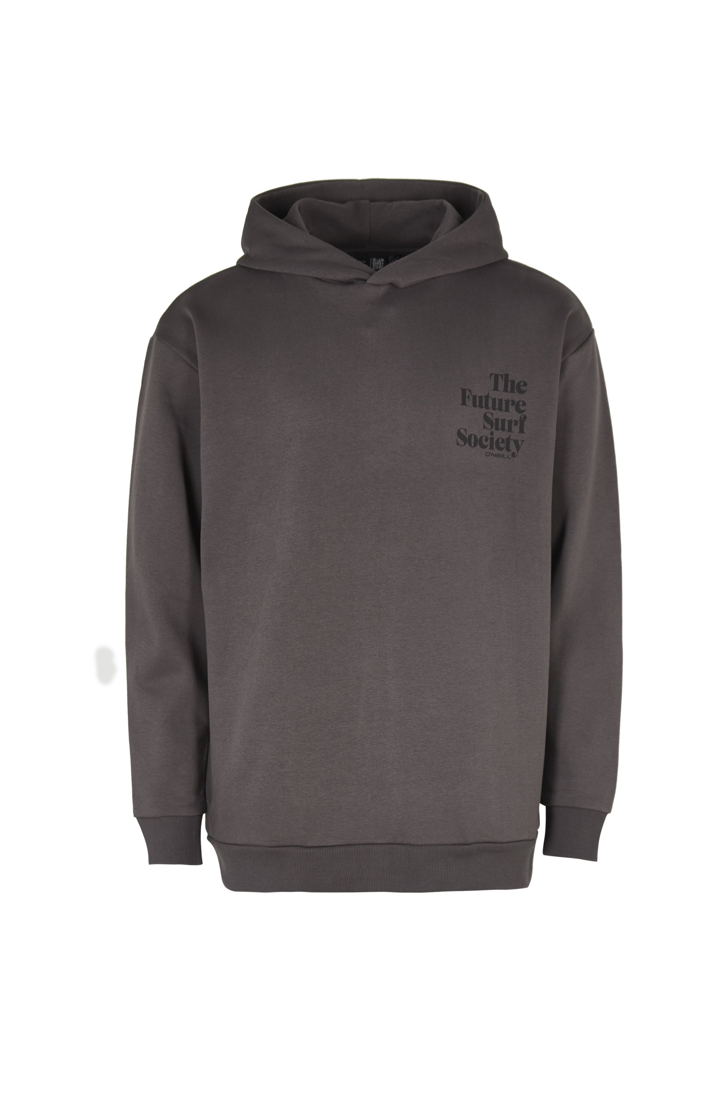 Hoodie Future Surf Society O`Neill Grijs