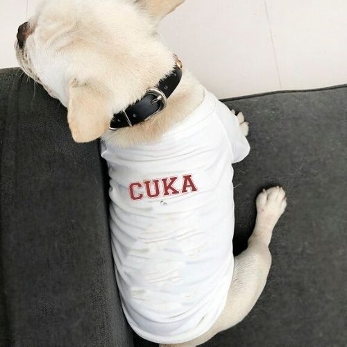 Camiseta personalizada com o nome do seu pet para cães, branca.