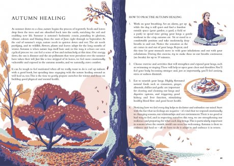 The Wild Handbook: Seasonal activities to help you reconnect with nature (Hardback)