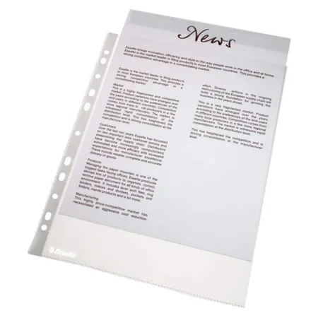 Leitz 56171 Prospekthülle Economy