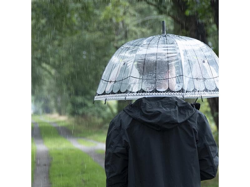Esschert Design Schirm Vogelkäfig Rosa/Schwarz/Transparent Transparenter Regenschirm