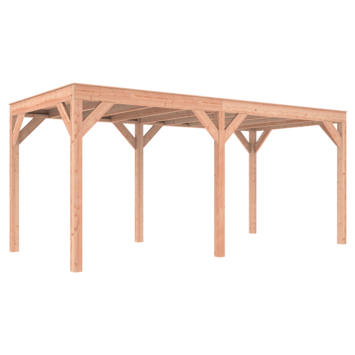 Overkapping Douglas 545x255cm a-symmetrisch