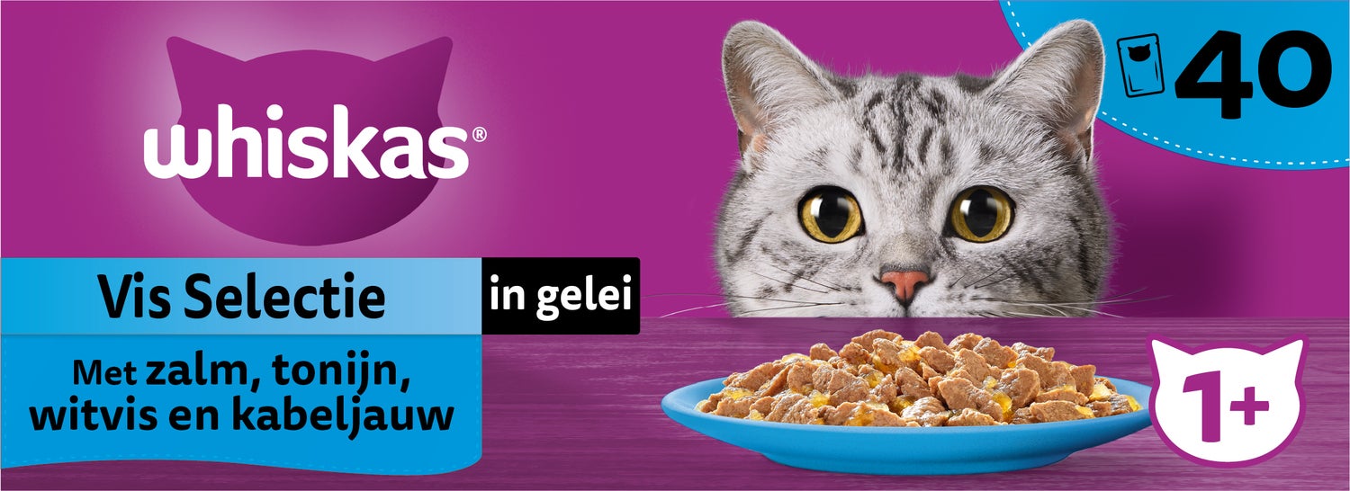 Whiskas kattenvoer in gelei Vis Selectie vis adult 85 g 40 stuks