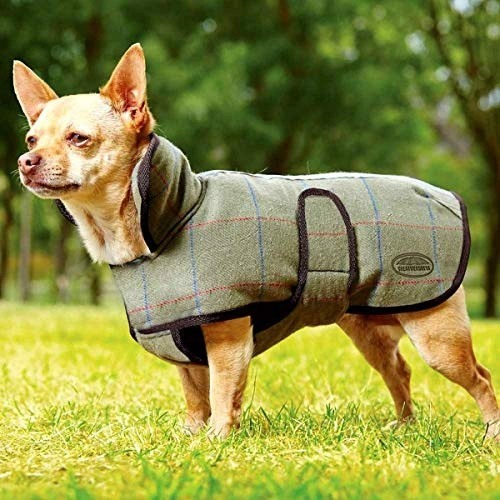 Casaco de tweed cor de oliva para cães
