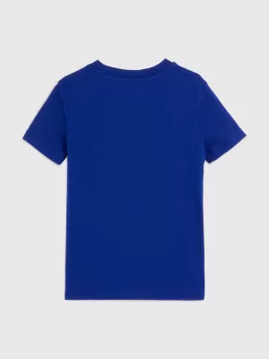 Camiseta Global Stripe