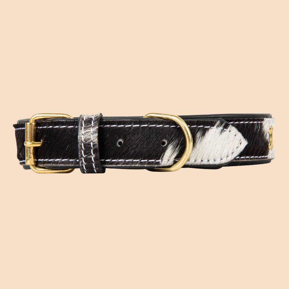 Myra Bag Dog Collar Monterey