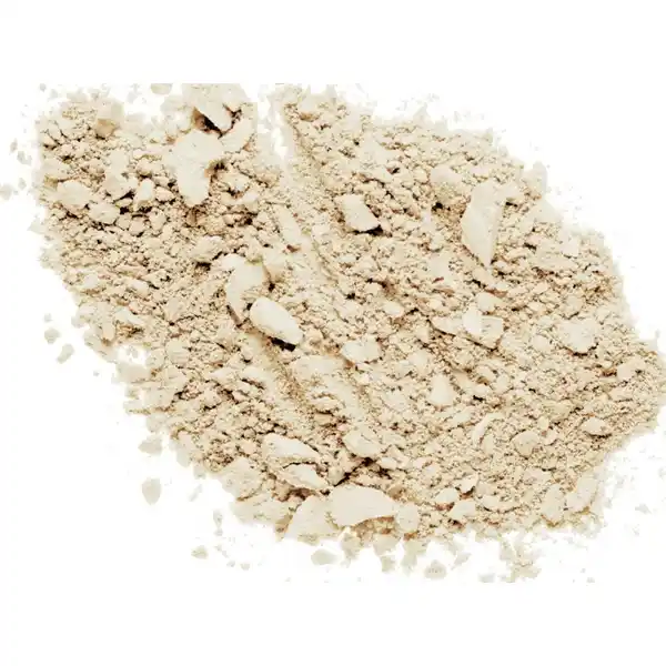 photofocus Loose Setting Powder Transparent