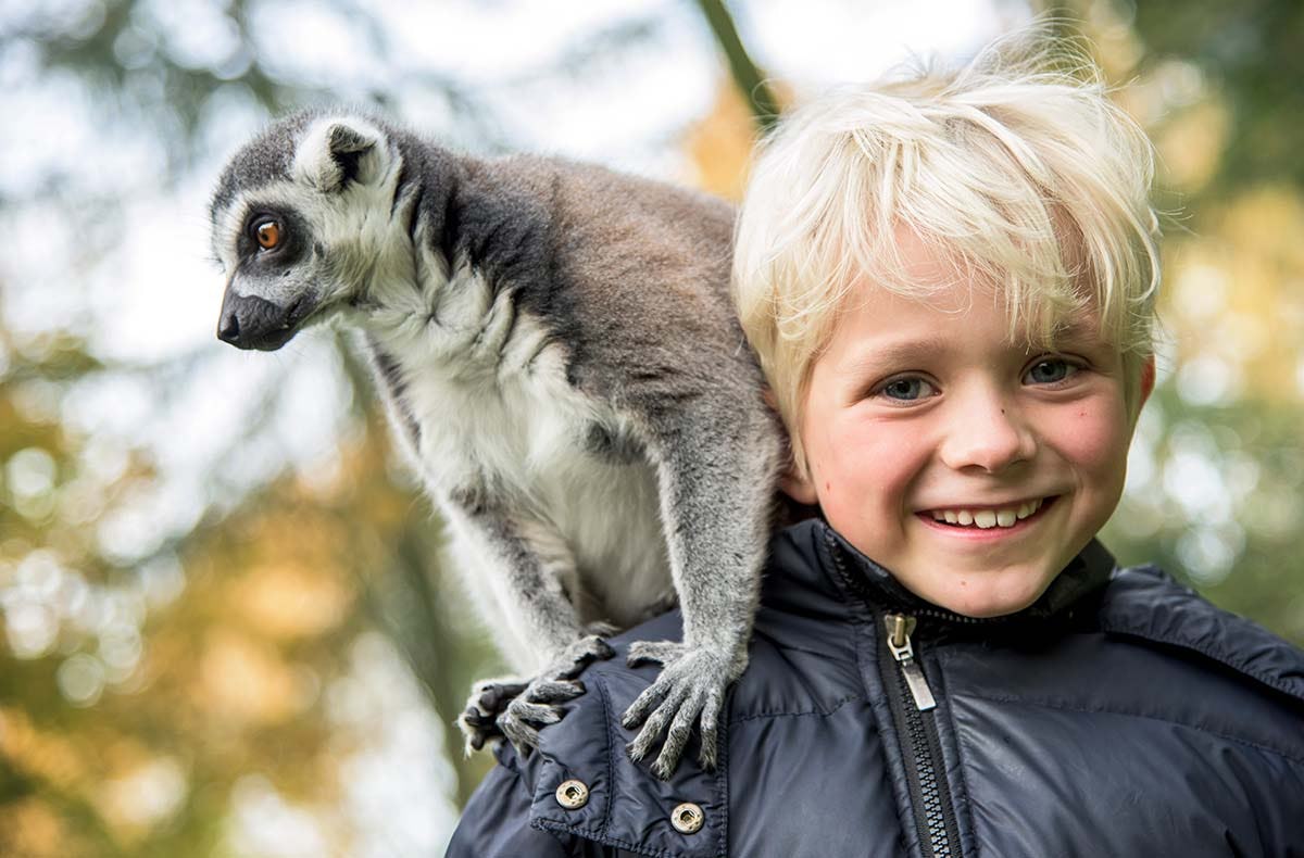 Außergewöhnlich Übernachten im Serengeti-Park für 2 (1 Nacht)