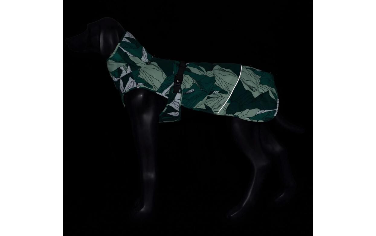 Wintermantel Northlander Grün, SWinterjacke für Hunde