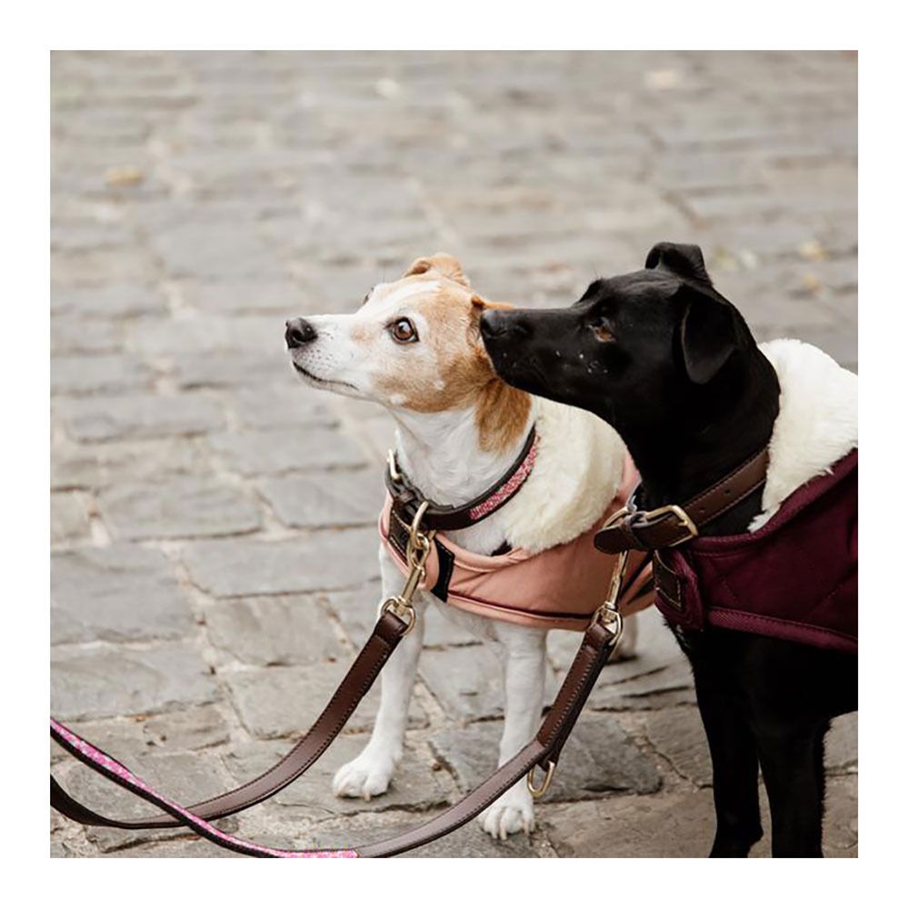 Kentucky PEARLS - Laisse pour chien pink