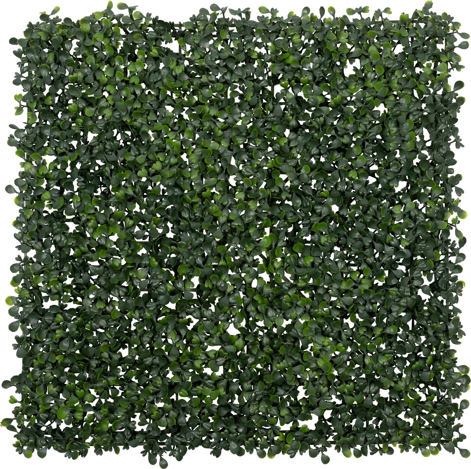Intratuin kunstplanten wandpaneel groen 50 x 50 x 4 cm
