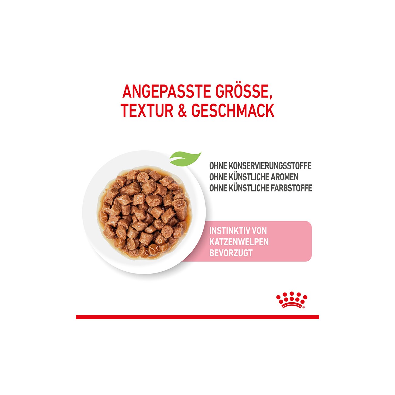 ROYAL CANIN Kitten in Soße 12x85 g