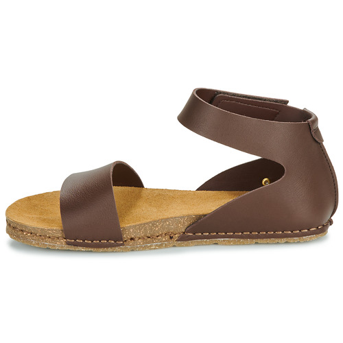 Art - CRETA - Marron