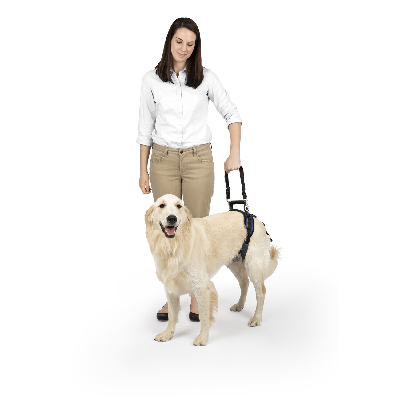 PetSafe CareLift Hüft-Hebegeschirr für Hunde