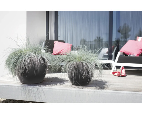 elho Pure zachte kunststof plantenpot, Ø 40 cm, H 30 cm, antraciet, inclusief wielen
