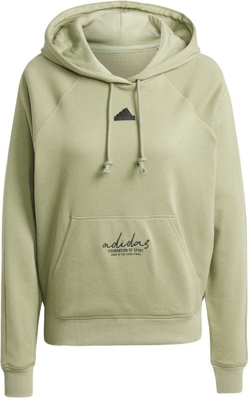 Adidas Bluv Q3 Casaul Sweater Dames Groen