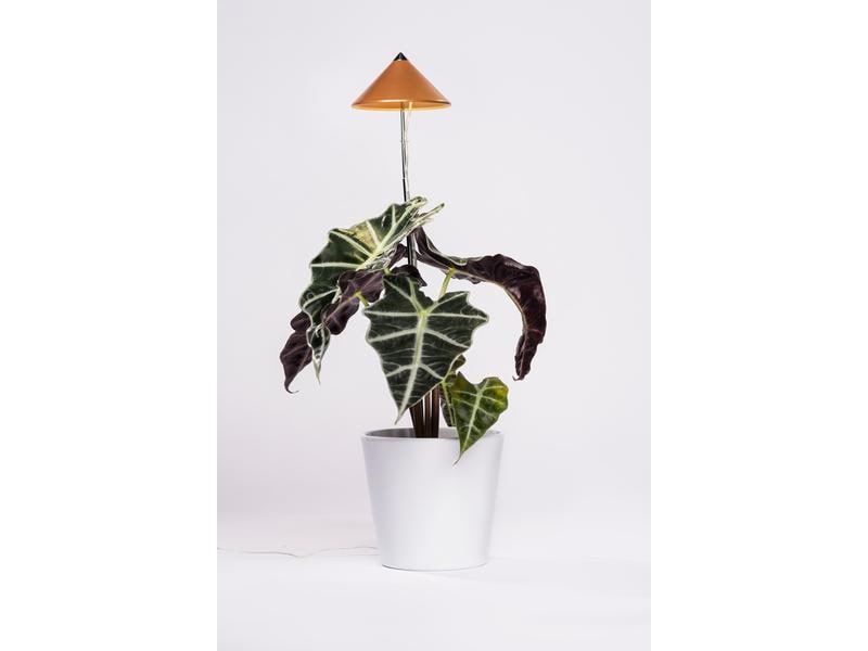 Venso Solutions Pflanzenleuchte SunLite 7 W, Kupfer LED-Pflanzenlampe mit Vollspektrum