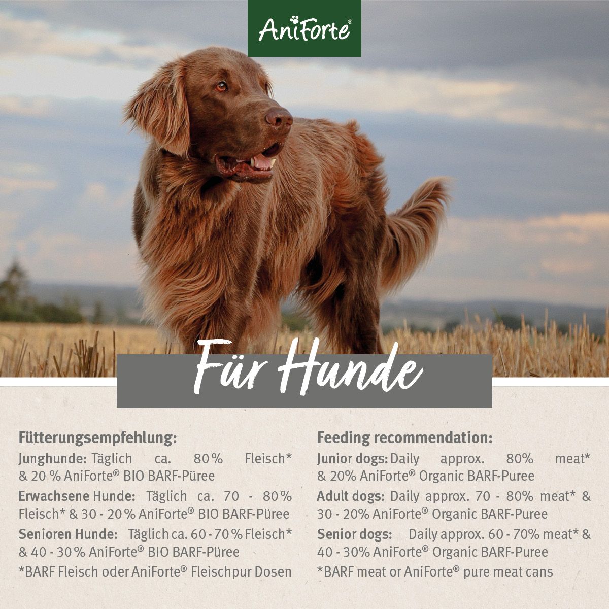 AniForte BIO BARF Püree - Fenchel & Mango 5 x 150g