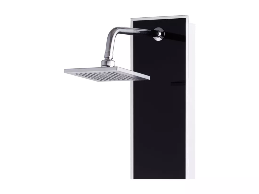 Panneau de douche pomme argenté 18 x 42.1 x 120 cm 02_0003432