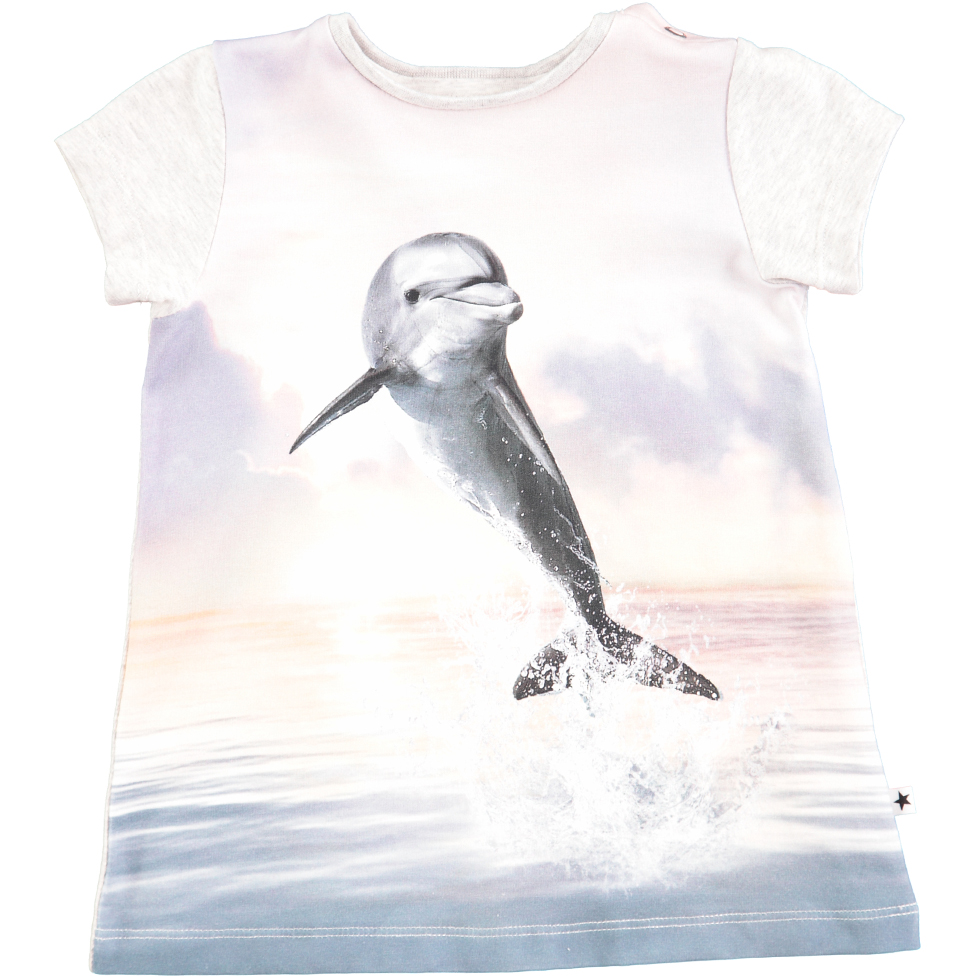 Corina - Jumping Dolphin