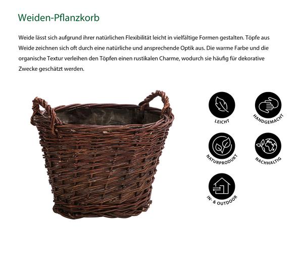 Dehner Weiden-Pflanzkorb, konisch, ca.