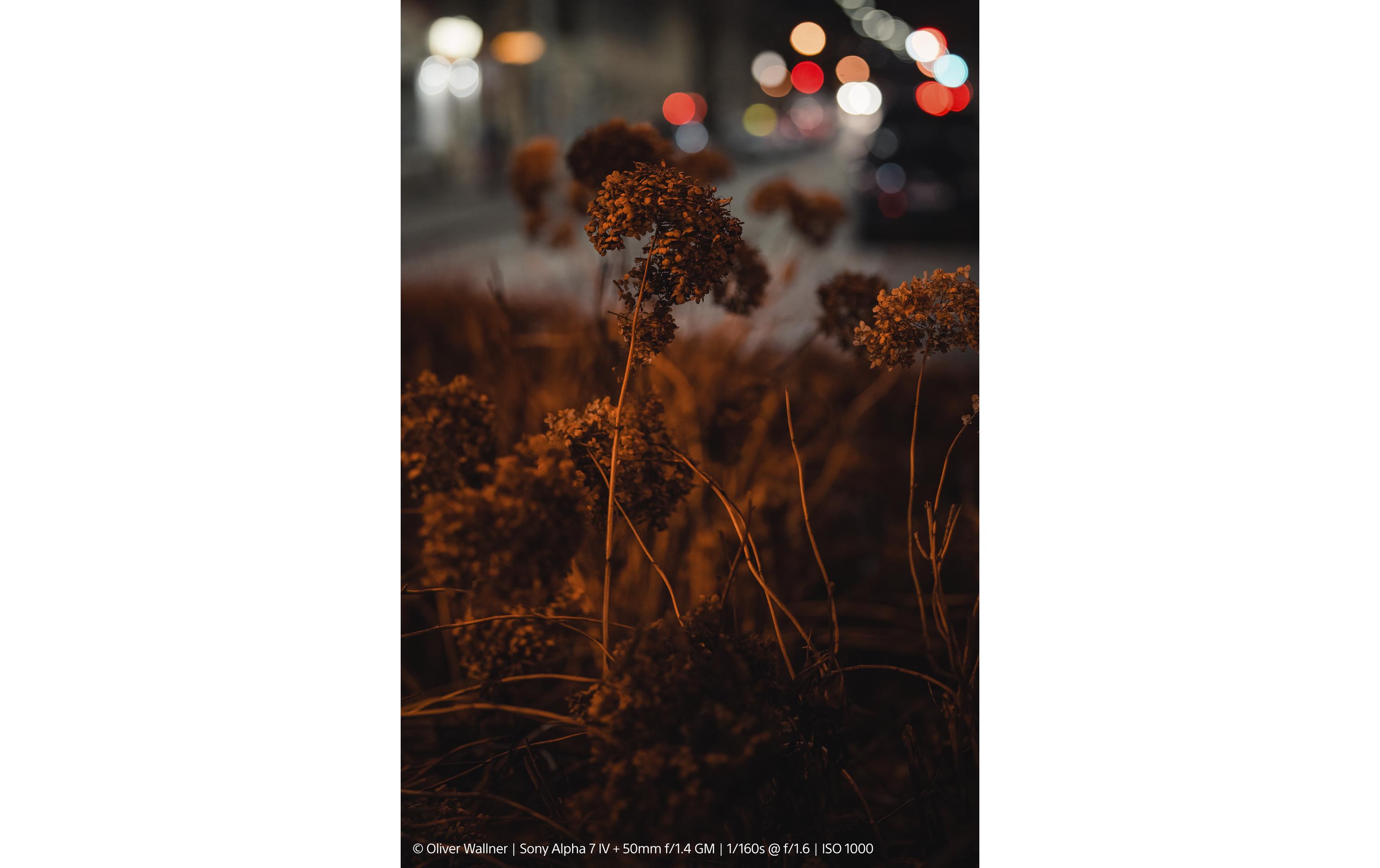 Festbrennweite FE 50mm F/1.4 GM – Sony E-Mount<br>G Master Standard-Vollformatobjektiv