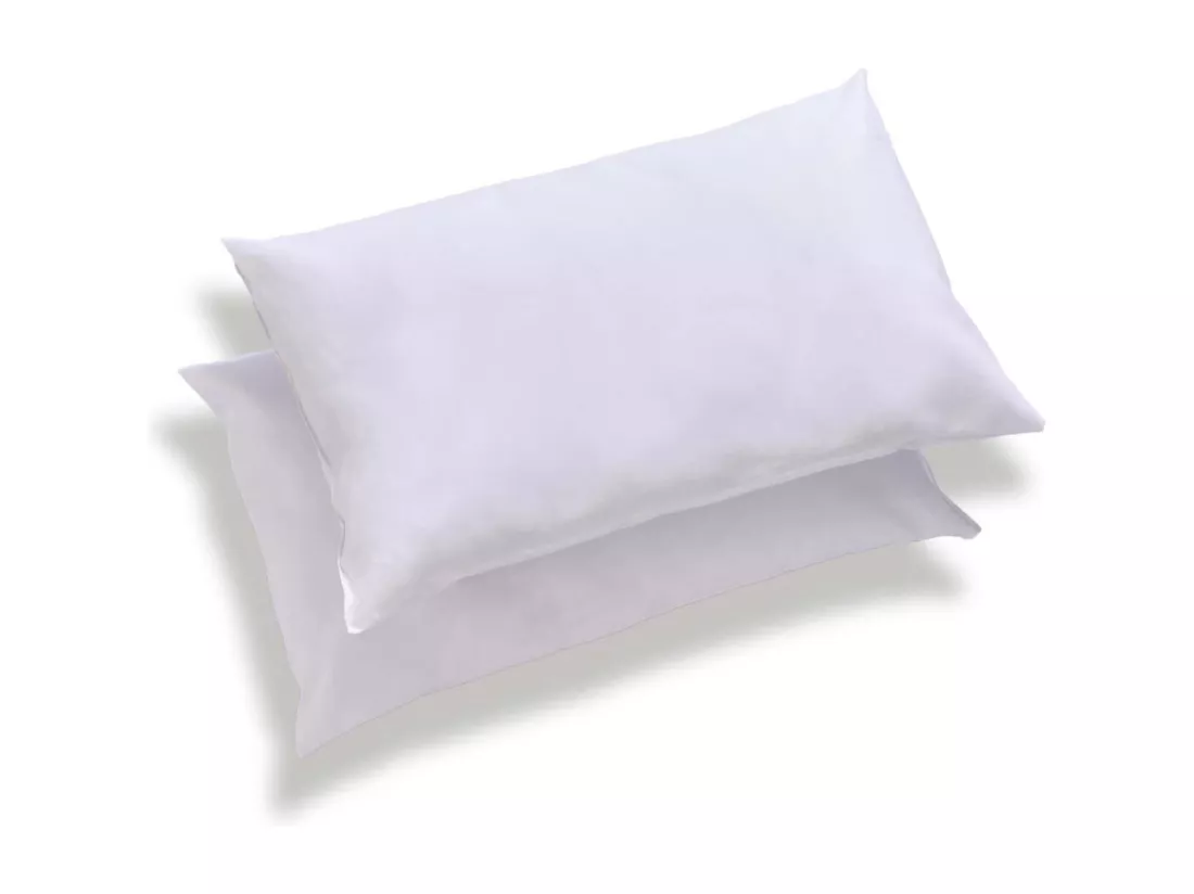 Lot de 2 oreillers moelleux Anti-acariens 45x70cm