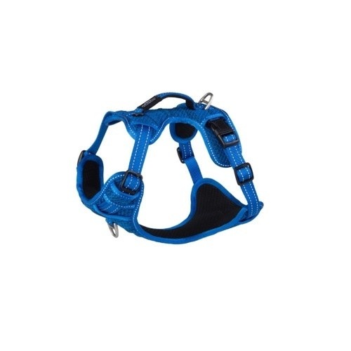 Coleira para cães Rogz Explore em nylon azul