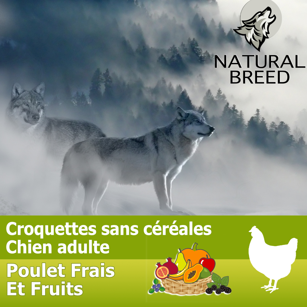 Fresh diet fruity chicken - croquettes chien adulte, poulet frais et fruits, 11,4kg - PROMO 15%