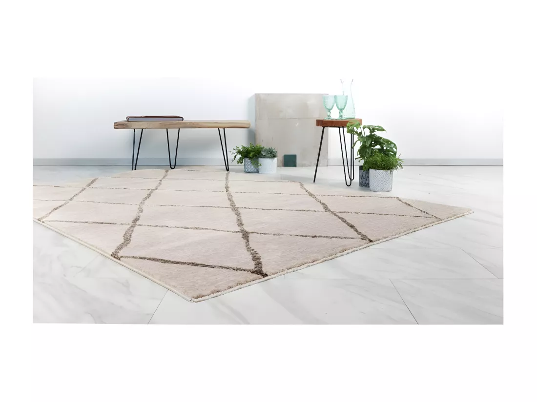 Tapis 150x80cm, design A105R coloris beige - Confort et élégance pour votre intérieur