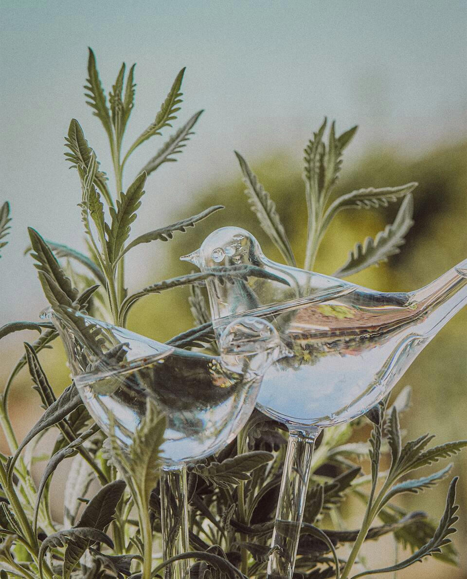 BOLHA AUTOIRRIGÍVEL DE VIDRO BOROSILICADO