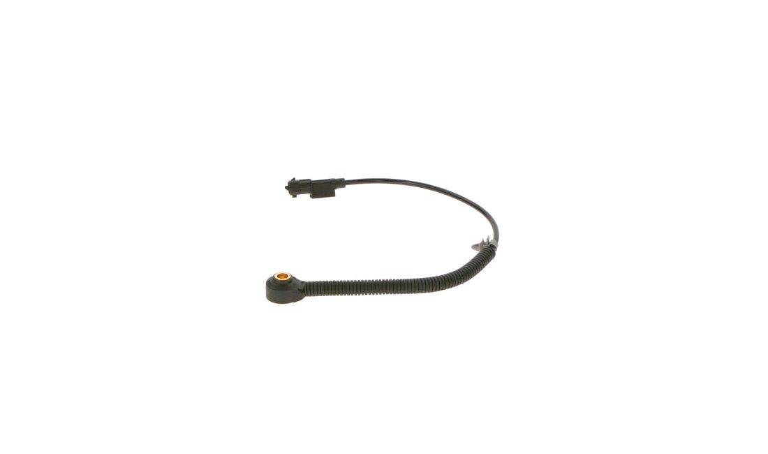 Bankesensor