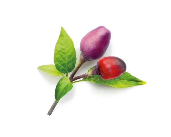 Click and Grow refill purpurowe chili 3-pak