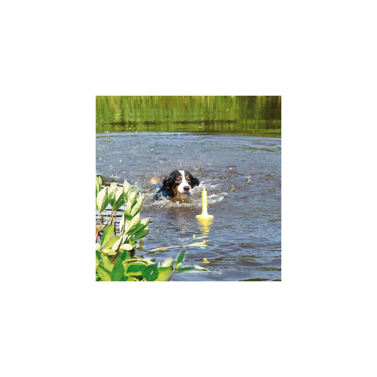 Trixie Aqua Toy MOT®-Aqua