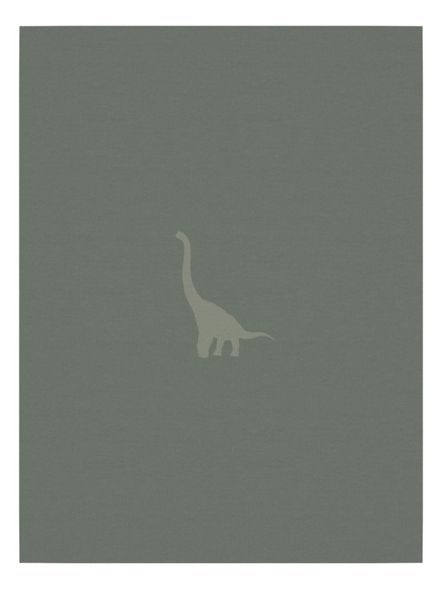 Name It Langarmbody »NBMBODY 3P LS GREEN DINO NOOS«, 3 Stk.