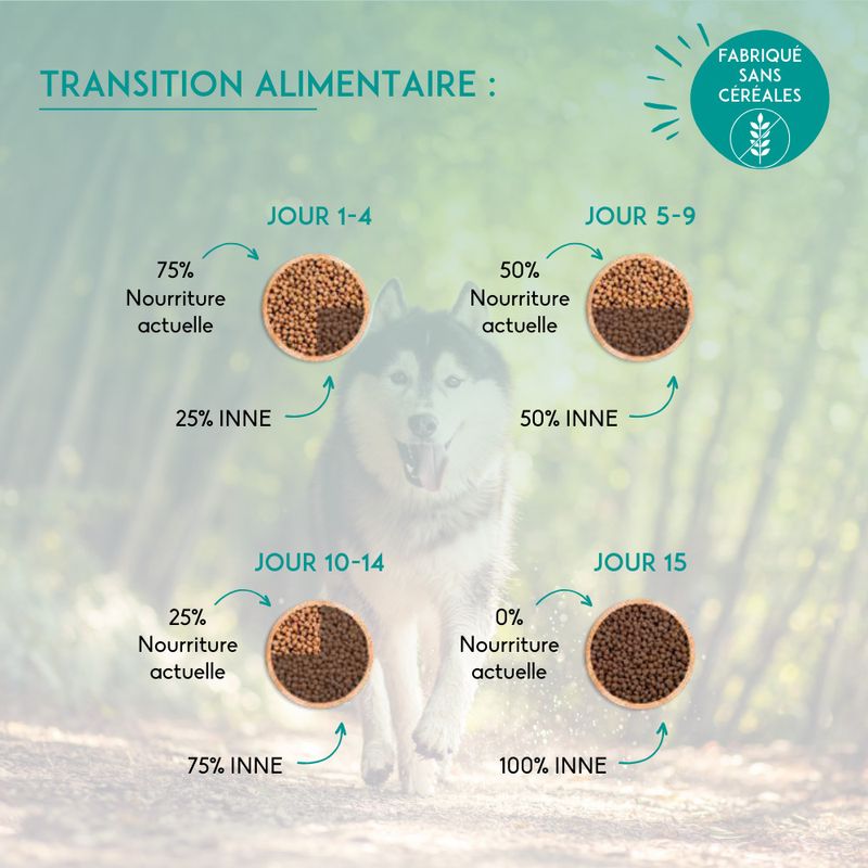 Nutrivet Inne Dog Nutritive