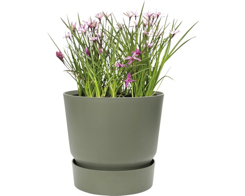 elho greenville plantenpot, kunststof, Ø 25 cm, H 23,3 cm, bladgroen